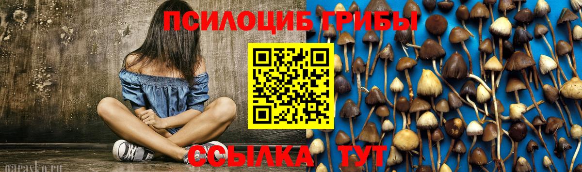 Галлюциногенные грибы ЛСД  Вход с VPN  Галлюциногенные грибы Psilocybine cubensis  Воскресенск 
