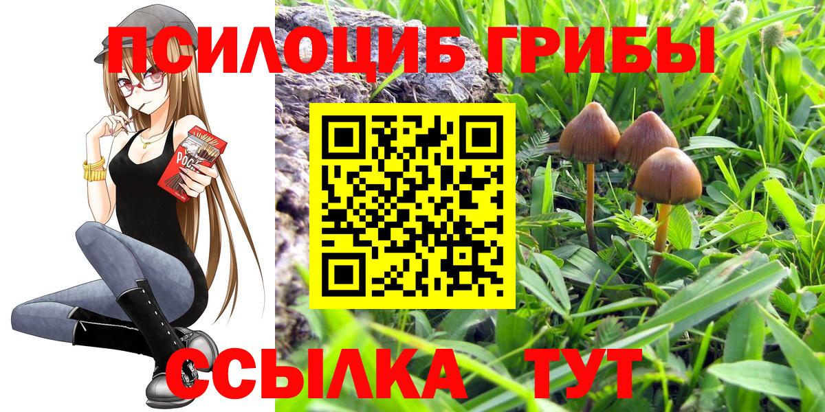 Псилоцибиновые грибы GOLDEN TEACHER Воскресенск